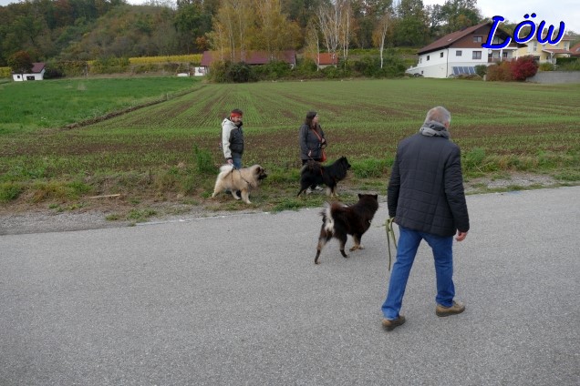 29.10.2023 - Berta mit Dwix und Howie